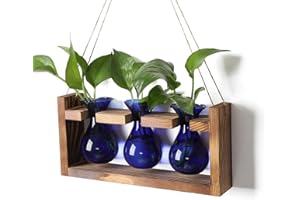 YYHGLASS Plant Propagation Station Plant Terrarium Unique Birthday Gifts for Women Plant Lovers Home Office Decor Planter with Wooden Stand - 3 Bulb Glass Vase