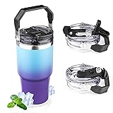 20oz Tumbler with Handle and Flip Straw Lid Double