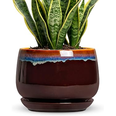 Amazon.com New Releases: The best-selling new & future releases in Planters