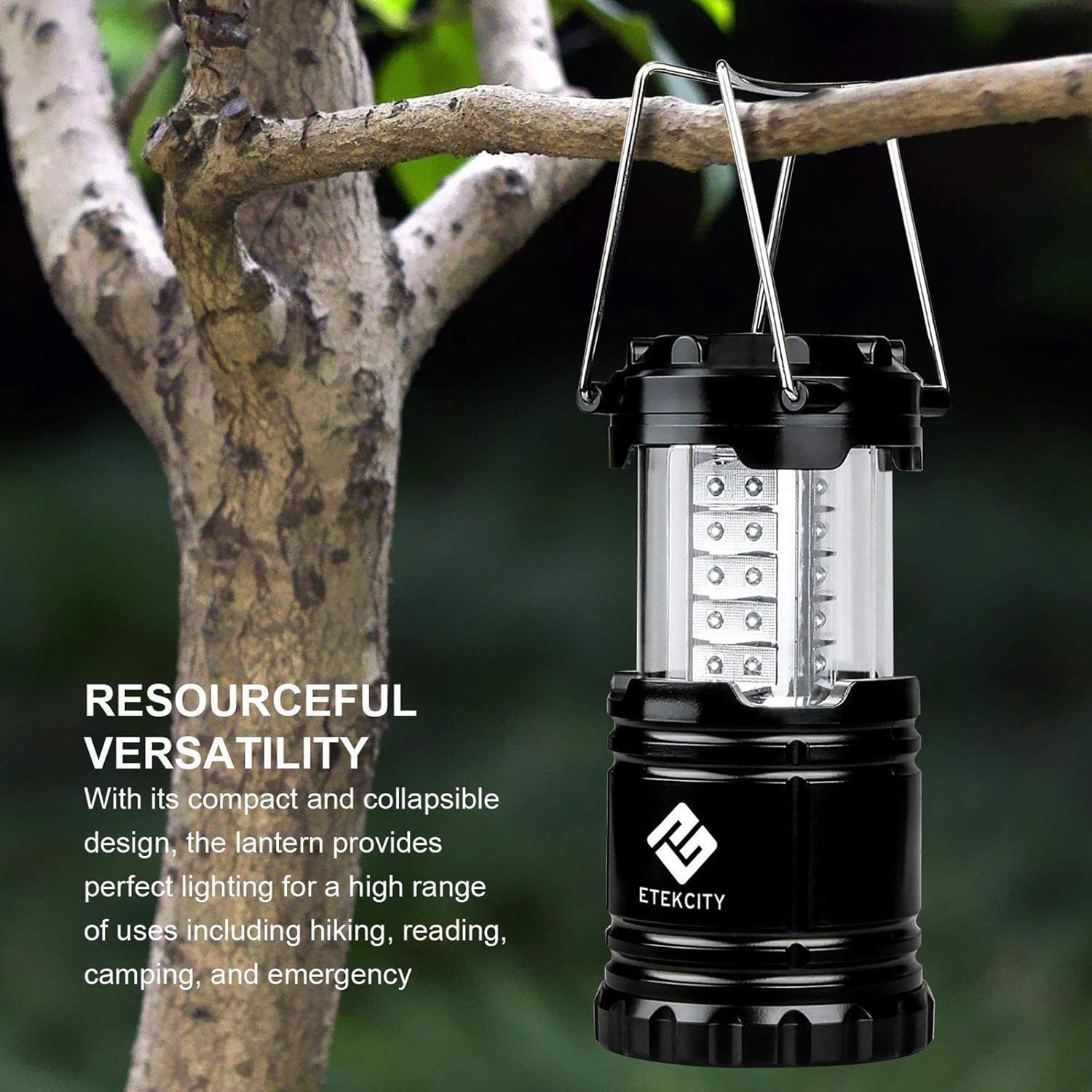 Etekcity Lantern Camping Lantern Battery Powered Lights for Power Outages, Home Emergency, Camping, Hiking, Hurricane, A Must Have Camping Accessories, Portable and Lightweight, Batteries Included: Sports & Outdoors