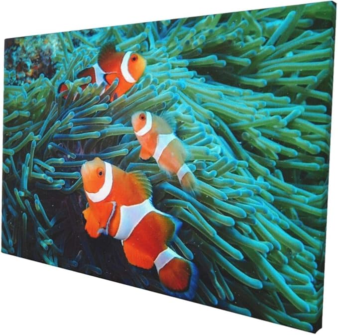Amazon Co Jp イソギンチャクとクマノミ アートパネル キャンバス 絵画 インテリア 壁飾り 壁掛け ポスター 部屋飾り リビング ダイニング オフィス バー お風呂 装飾画 45x30cm ホーム キッチン