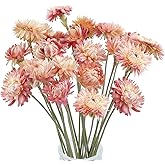 20 Pcs Natural Dried Daisy Flowers Bouquet, Assorted Multicolor Daisies for Wedding, Farmhouse Table DIY Decor, Home Office Party Vase Arrangement