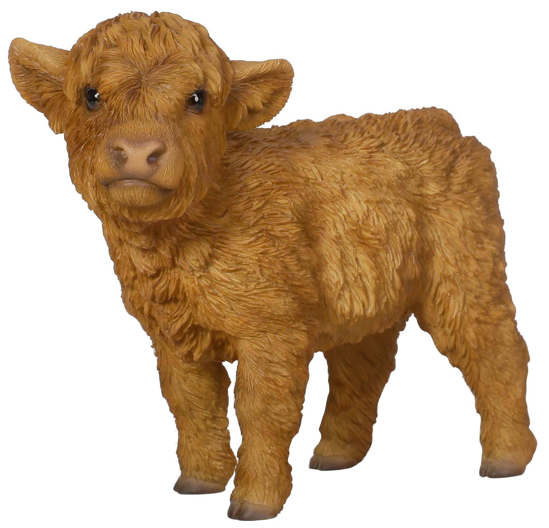 Vivid Arts - Highland Cattle Calf - PP-HLCF-F