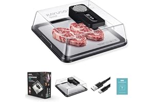 Defrosting Tray for Frozen Meat, USB Rechargeable Meat Defrosting Box with Lid, Aluminum Defrosting Tray BBQ, Airflow Technol