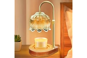 Gugsey Electric Lamp Candle Warmer with Timer - Dimmable Candle Warmer Lamp, Best Housewarming Gifts 2024 for Girls, Flower Wax Warmer Candle Lamp for Home Decor, Farmhouse Candle Warmer Lamp, Clear