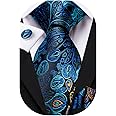 Hi-Tie Silk Paisley Ties for Men Necktie Pocket Square Cufflinks Set Foral Tie Sets Formal Business