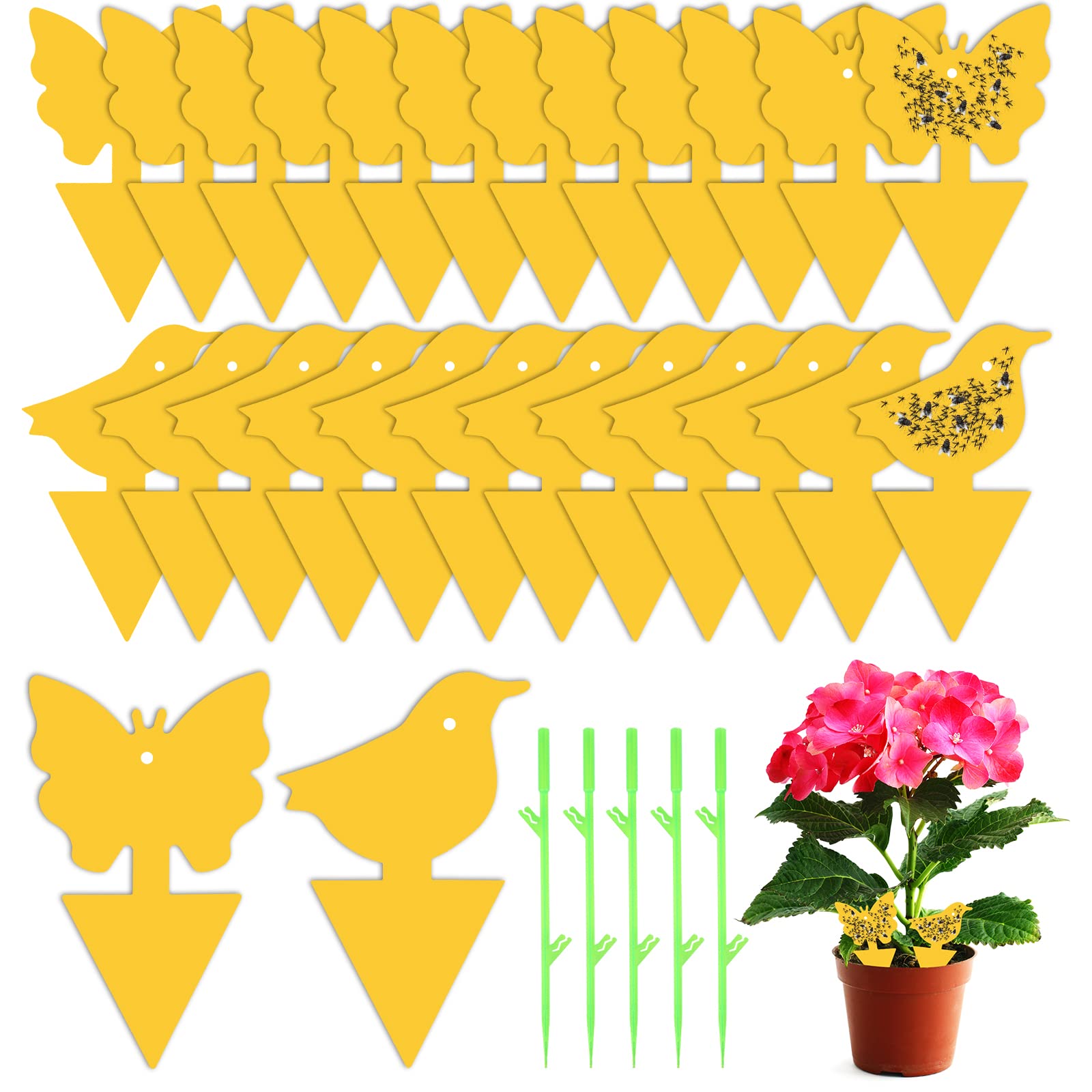 Fruit Fly Trap, 24 PCS Yellow Sticky Fly Traps Killer Fungus Gnat Sticky Traps, Double-Sided Fly Catchers for Protect Plants and Control Indoor Plant Bug, Fly Paper for Flies Mosquitoes Fungus Gnats