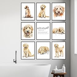 BigWig Prints Golden Doodle Wall Decor