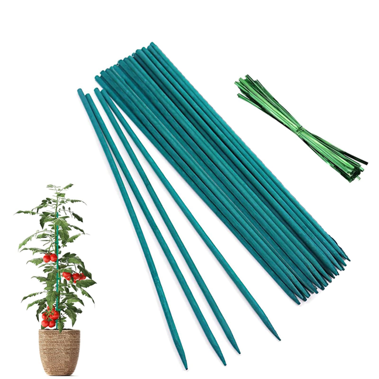 DeJivsin 50Pcs Plant Support Sticks, Plant Sticks Support with 50 Pcs Twist Ties, Bamboo for Orchid Pea Vegetables Support