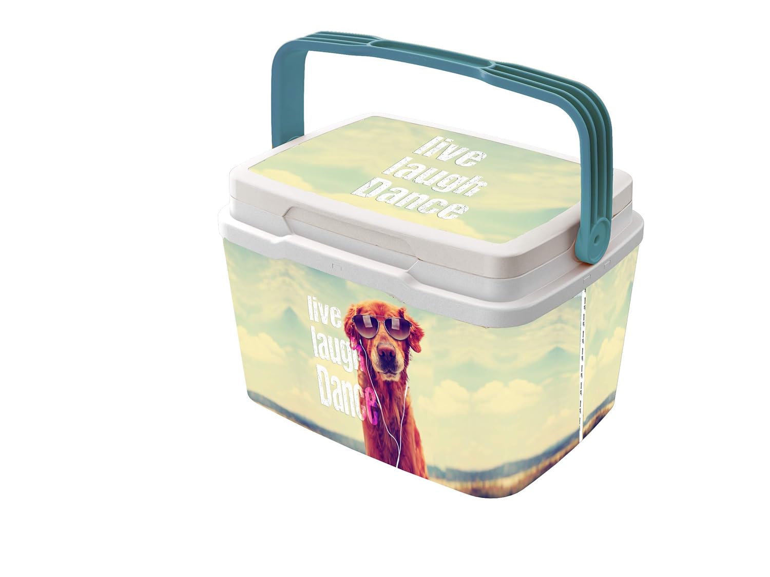 Life Story Nevera Rigida 29L / 6L: Amazon.es: Deportes y aire libre