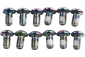 Stainless Steel Brake for Rotor Bolts for ROTOR Disc Brakes, M5 x 10mm T25 Torx, Oil-Slick Color Finish, 12-Pack