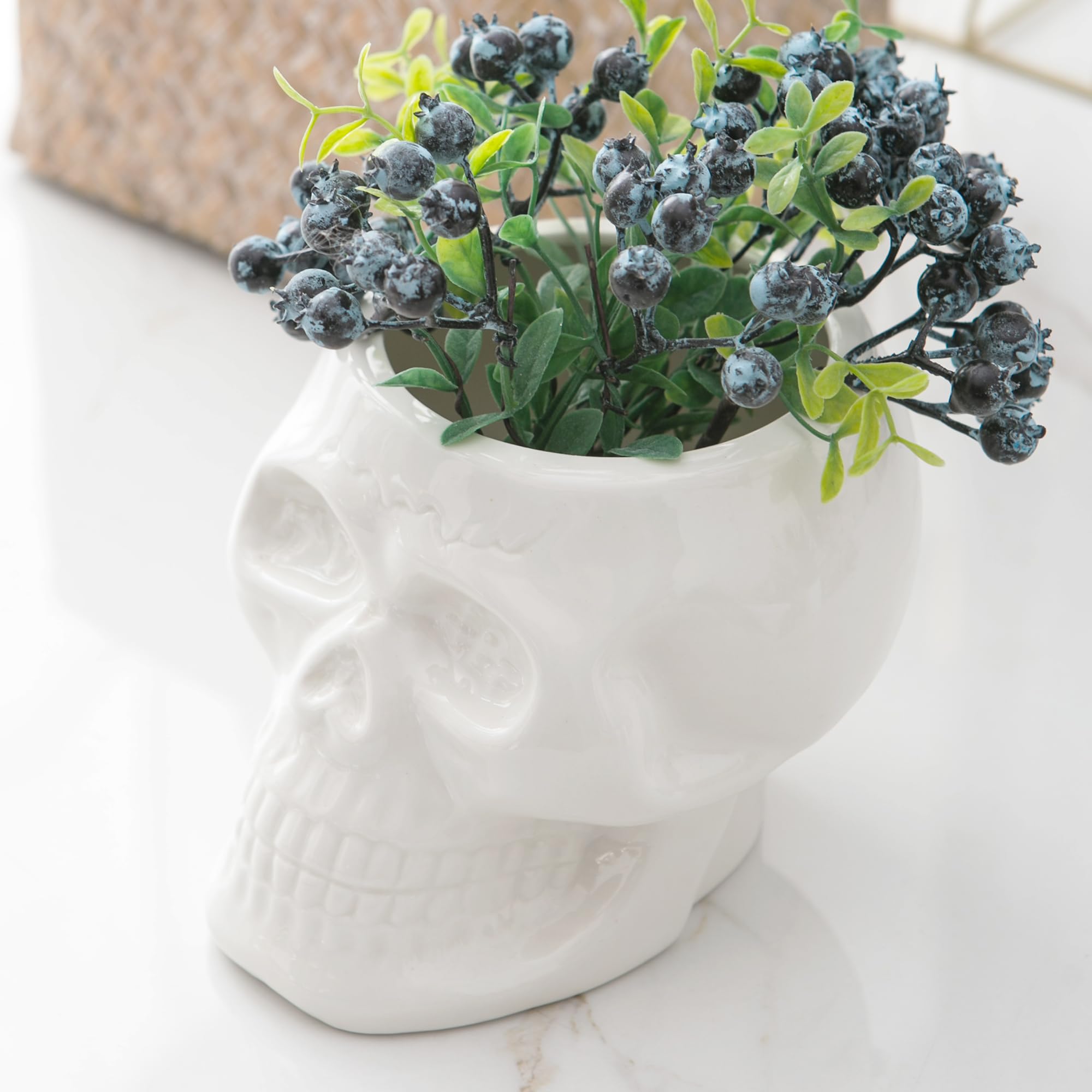 Photo 1 of Tanvecle Skull Planter Pots, Skeleton Vase for Succulent, Flowers, Gothic Centerpiece for Table, Punk Home Decor and Accessories, Halloween and Day of The Dead Decorations - White