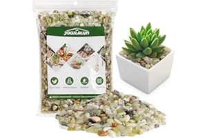Jowlawn 10lb Jade Bean Sand Stone-Succulents and Cactus Bonsai DIY Projects Rocks,Decorative Gravel for Plants and Vases Fillers,Terrarium