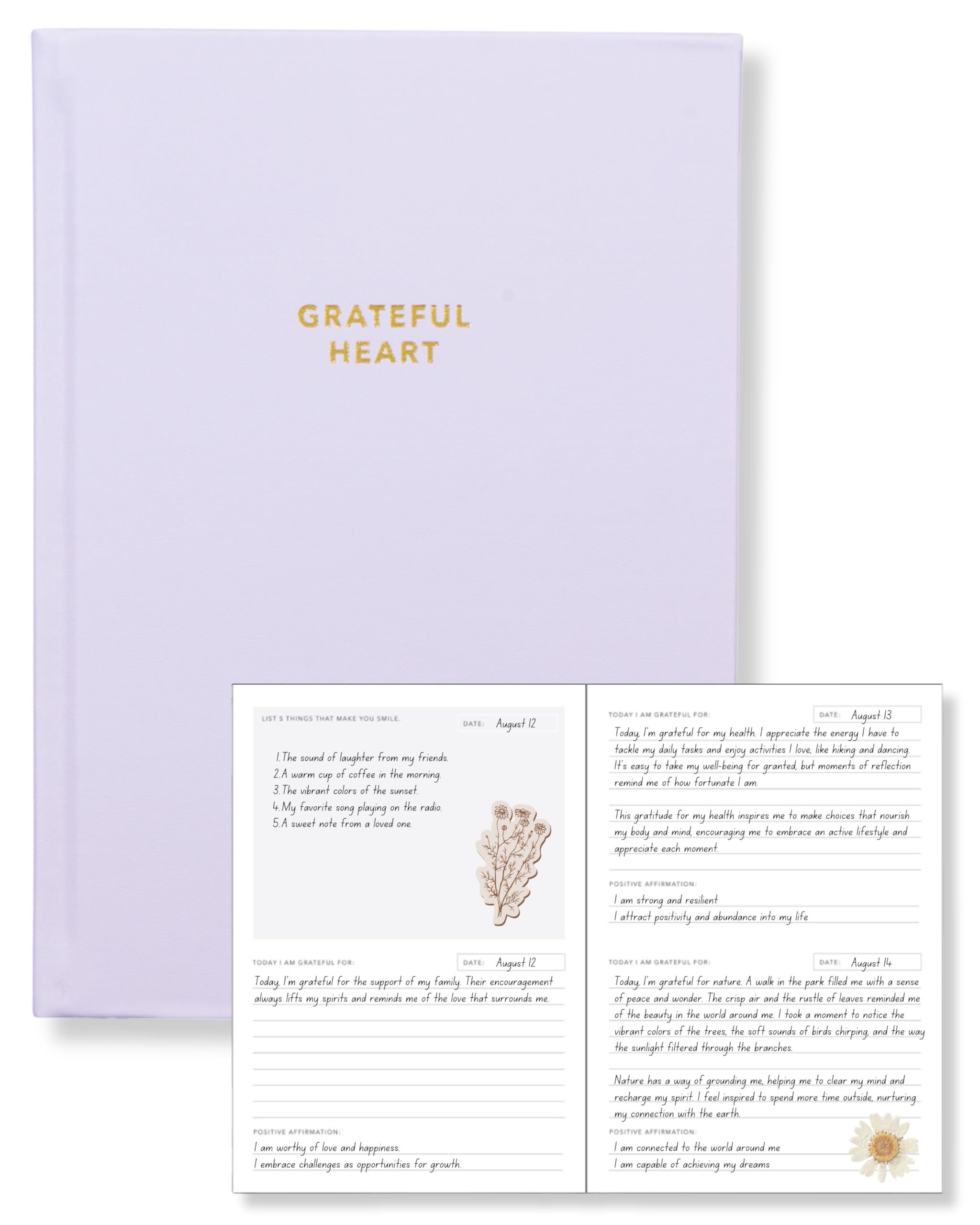 Daily Gratitude Journal for Women – 6 Months Writing Prompts and Dream Journal – Self Journal and Mindfulness Journal