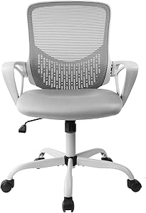 SMUGDESK Ergonomic Office Lumbar Support Mesh Computer Desk Task Chair with Armrests, Gray
