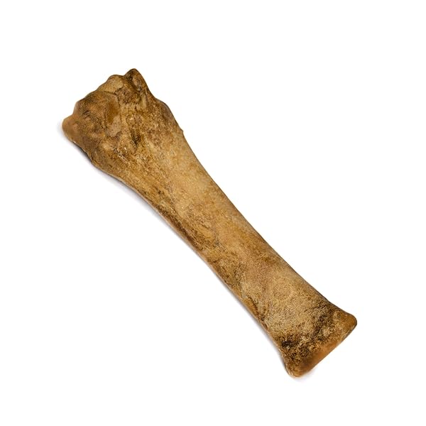 NYLABONE HEALTHY EDIBLES NATURAL DOG CHEWS LONG LASTING BACON FLAVOR TREATS FOR DOGS, X-LARGE/SOUPER (1 COUNT)
