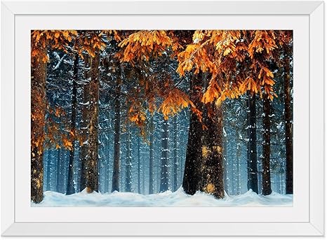 Amazon Co Jp 冬の雪の風景の森 風景の写真 木製額縁 アートポスタ 30cmx40cm白色 ホーム キッチン
