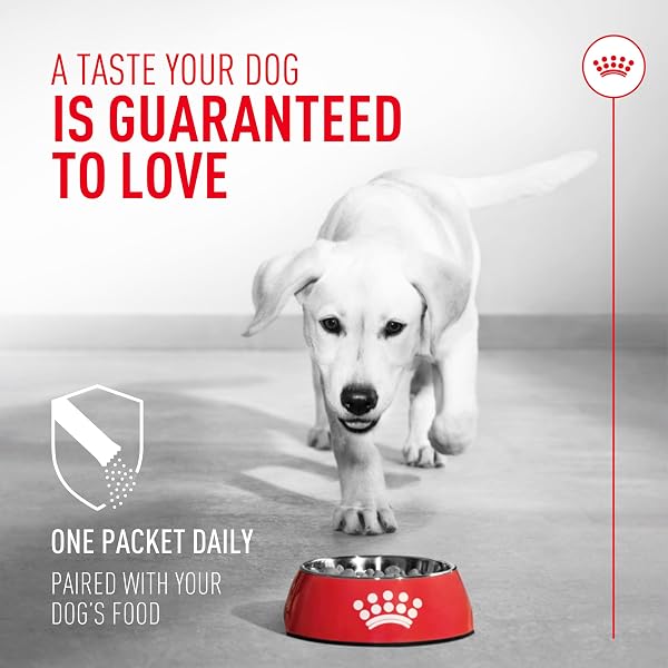ROYAL CANIN PROBIOTICS FOR DOGS DIGESTIVE AND IMMUNE HEALTH POWDER SUPPLEMENT FOR DOGS OF ALL AGES, 30 COUNT