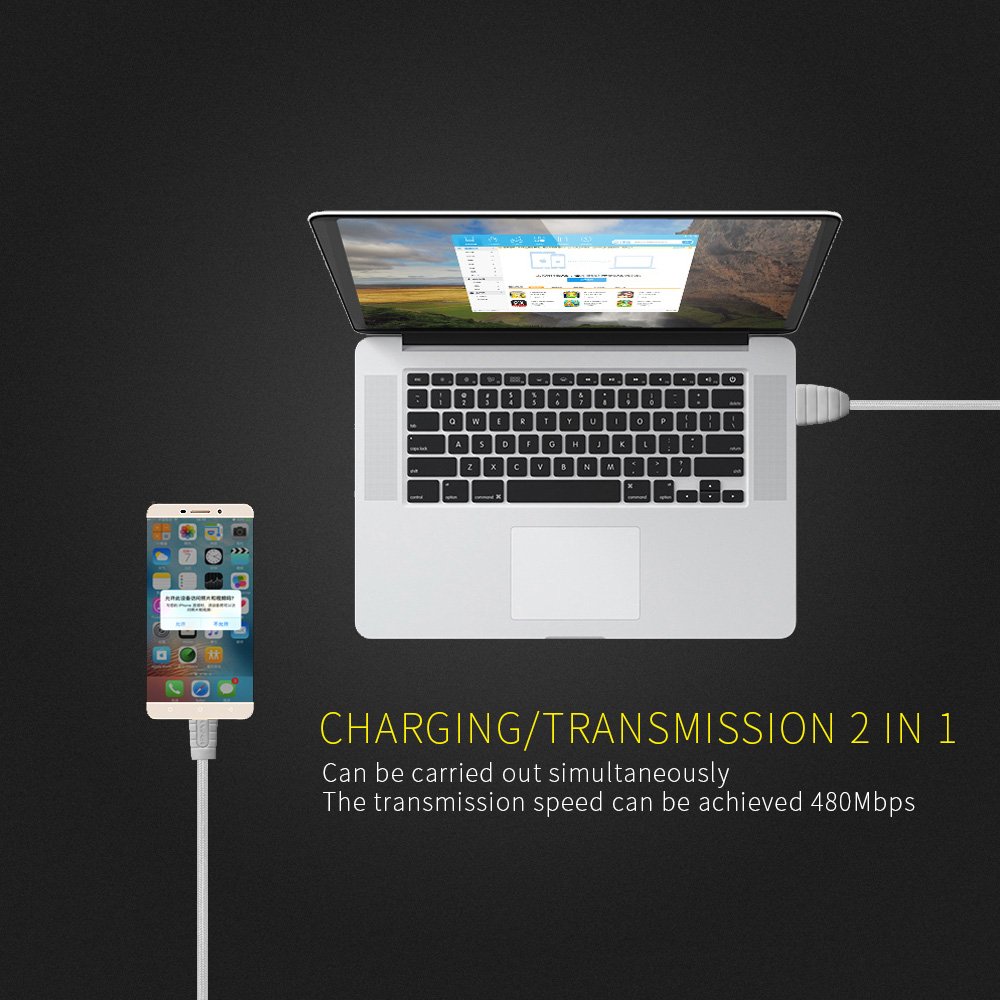 (2-Pack 3.3FT) USB Typ C Kabel, Roadwi USB 3.0 auf USB C-Kabel Nylon-Flechtschnur für Samsung Galaxy Note 8 S8, Google Pixel 2 XL, Moto ZZ2, LG V30 G5 G6 V20 Nintendo Switch Mehr (Grau)