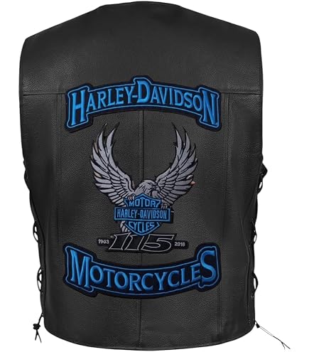 Amazon.com: Harley-Davidson® Embroidered Edgy Emblem Patch