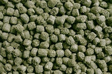 blue seal rabbit food near me