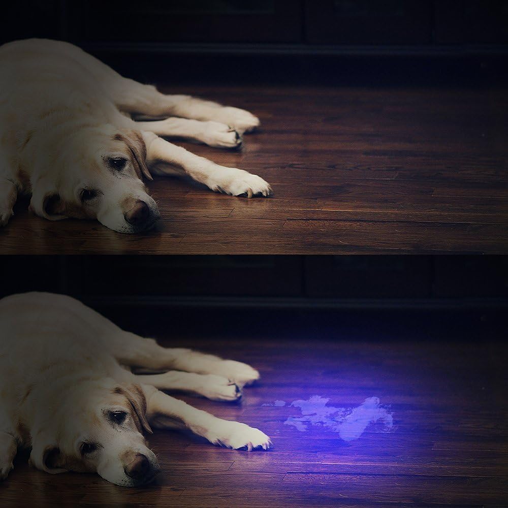 Vansky UV Torch - Image 3