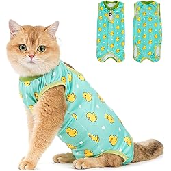 71KviiLM7OL. AC UL250 SR250,250