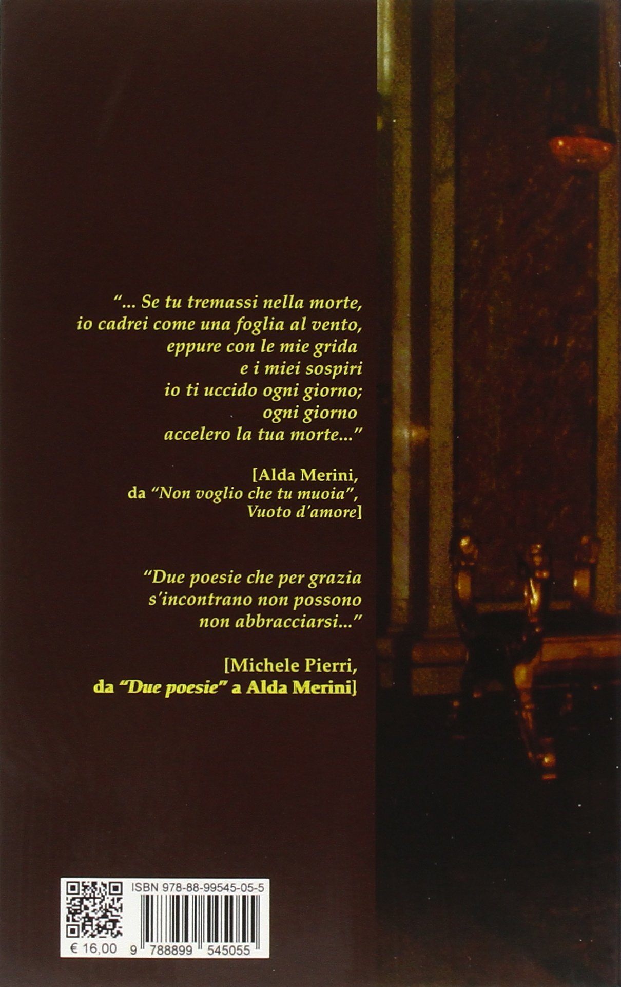 Amazon It Michele Pierri E Alda Merini Cronaca Di Un Amore Sconosciuto Trevisani Silvano Libri