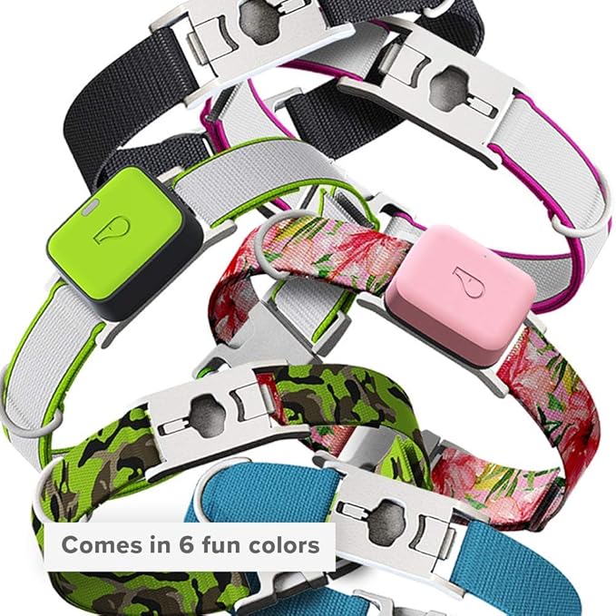 whistle pet collar