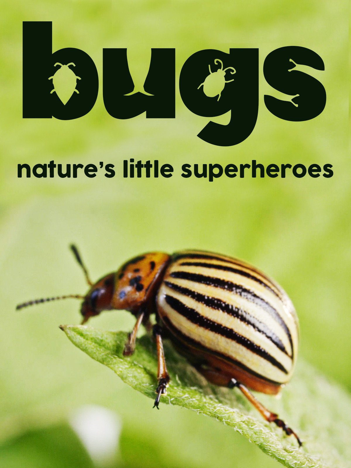 Watch Bugs Nature S Little Superheroes Prime Video