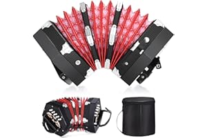 RIVVTA Concertinas, 20 Key Professional Accordion, Musical Instruments Accessories With Carrying Bag, Black