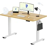FLEXISPOT EN1 One-Piece Standing Desk, Electric Adjustable with 4 Memory Presets, 176 LBS Capacity, Stable &amp; Quiet, Seamless Desktop for Home Office &amp; Dual Monitors, 48"x24" Maple(White Frame)