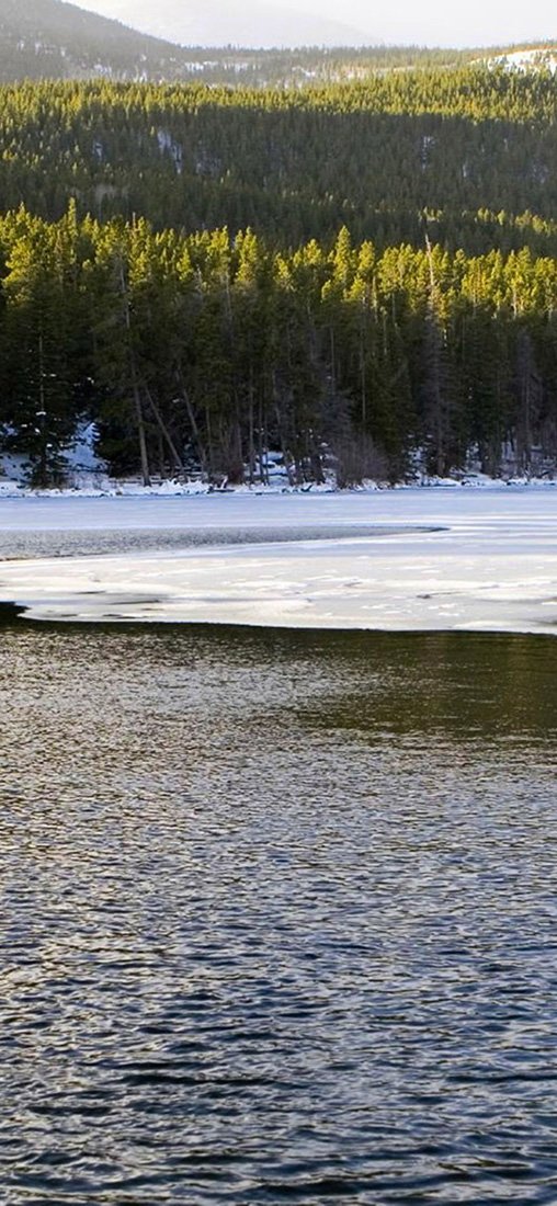 PeelitStickit, Beautiful Nature Wall Murals, ID-0843, vinyl