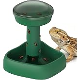Reptile Feeder for Lizards &ndash; Natural Foraging &amp; Slow Feeder Design, Anti-Tip Stable Base for Roaches Insects, Dual-Use as Food or Water Dish, Escape-Proof Training Feeder for Bearded Dragon Gecko (L)