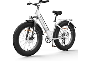 isinwheel M60 Electric Bike,Peak 1000W Motor 26"x4.0" Fat Tire ebikes for Adults,48V 13Ah Removable Battery,45KM/H Top Speed 