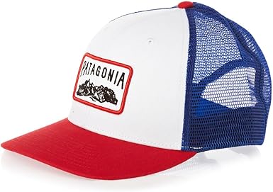 red white blue patagonia hat