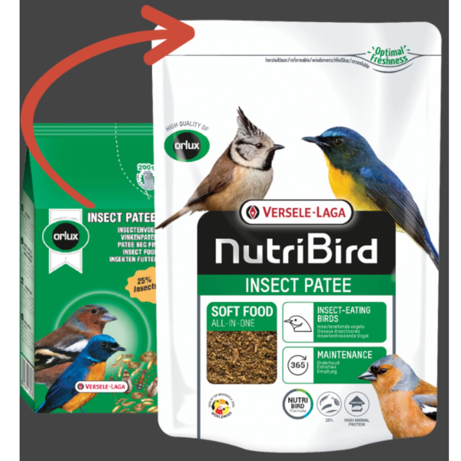 Versele-Laga NutriBird Insect Patee, 1 kg