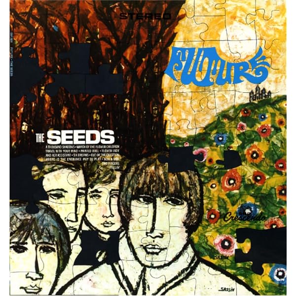 The Seeds - A Web Of Sound - Deluxe - Amazon.com Music