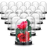 Zhengmy Plastic Dome Display Case Cloche Bell Jar