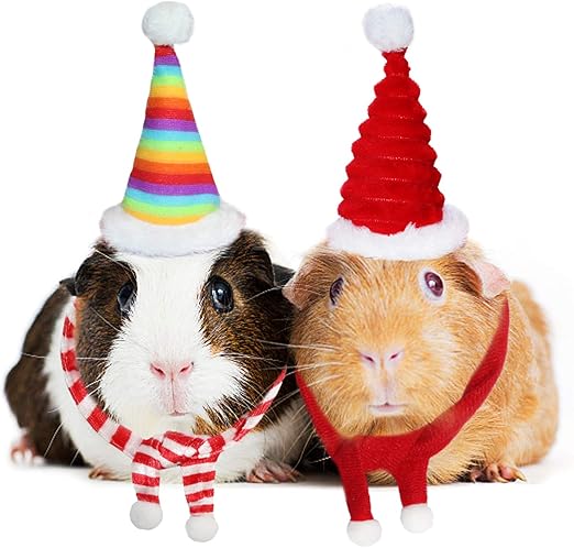 guinea pig outfits amazon