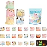 Glow in The Dark Figure, Square Cat Series Blind Box (5 Figures per Box) Random Style Action Figure Cute Blind Bag Collectible Toys - Mini Figures Mystery Box for Cat Lovers Birthday Gift & Desk Decor