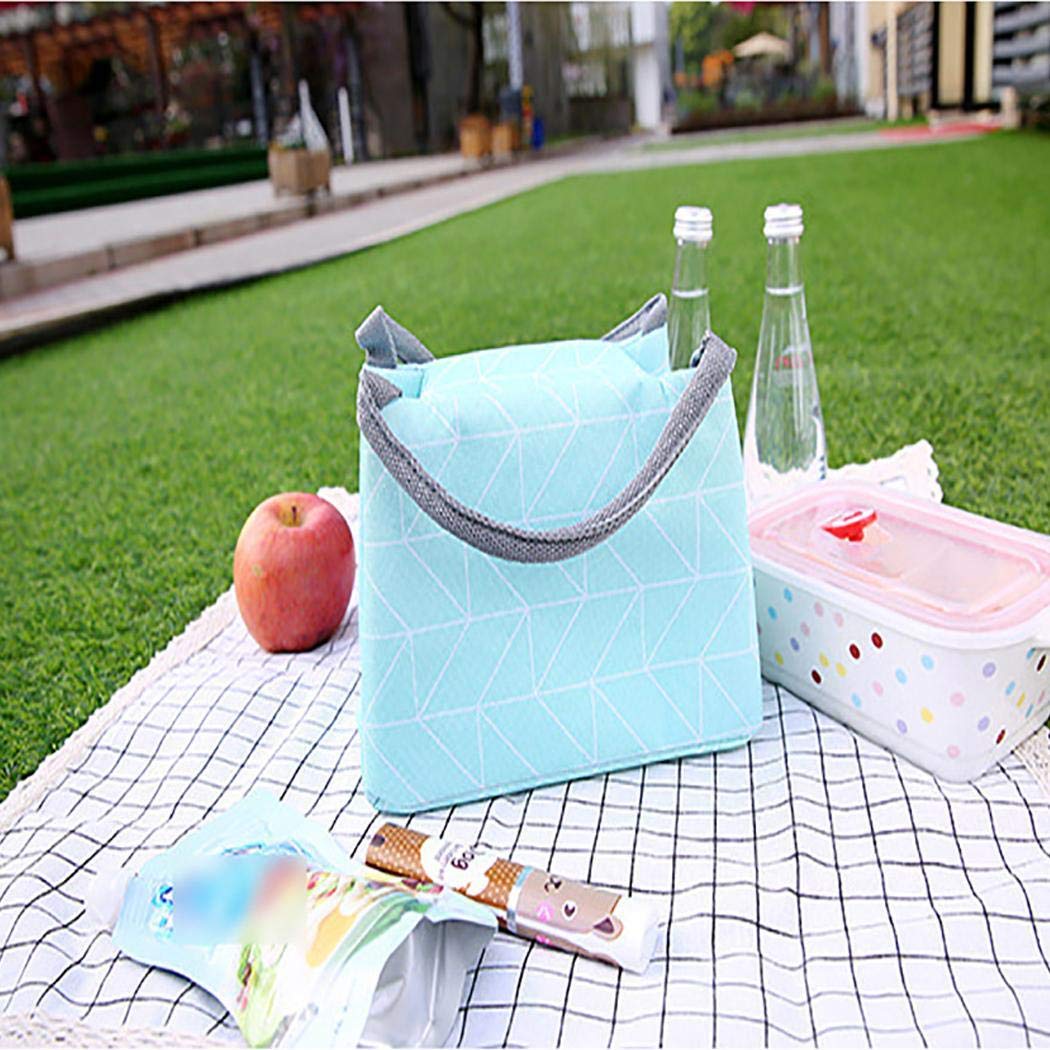 Qenci Insulated Lunch Bag, Thermal Cooler Lunch Bag Handbag Pouch Picnic Storage Box Lunch Bags