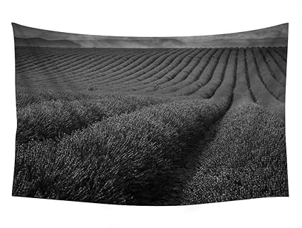 Amazon Com Pupbeamo Prints 90x60 Inches Black And White