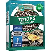 GreenWaterFarm Triops Granarius Eggs for Hatching and Culture Suitable to be Pet and Science Project (Pure 200 Eggs)