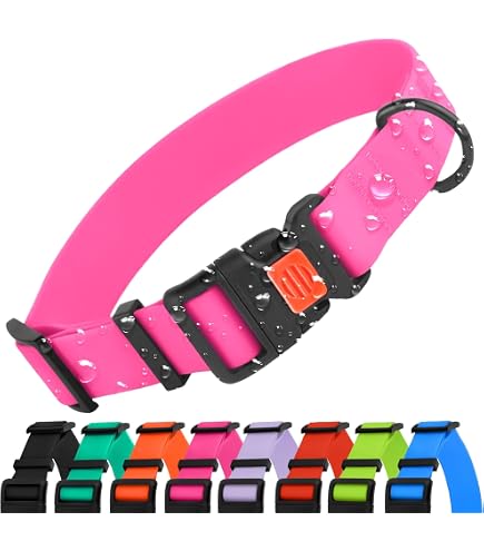 Amazon.com : PetSafe KeepSafe Break-Away Collar, 1-Inch Medium