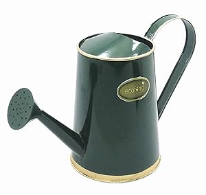 ecofynd 2.5 Litre Watering Can with Rosette Diffuser, Color - Amazon Green, Size - WC4: 2.5 L