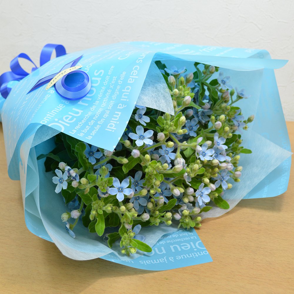 [エルフルール] 花束 ブルースター 20本花束 生花 フラワーギフト プレゼント 誕生日商品画像