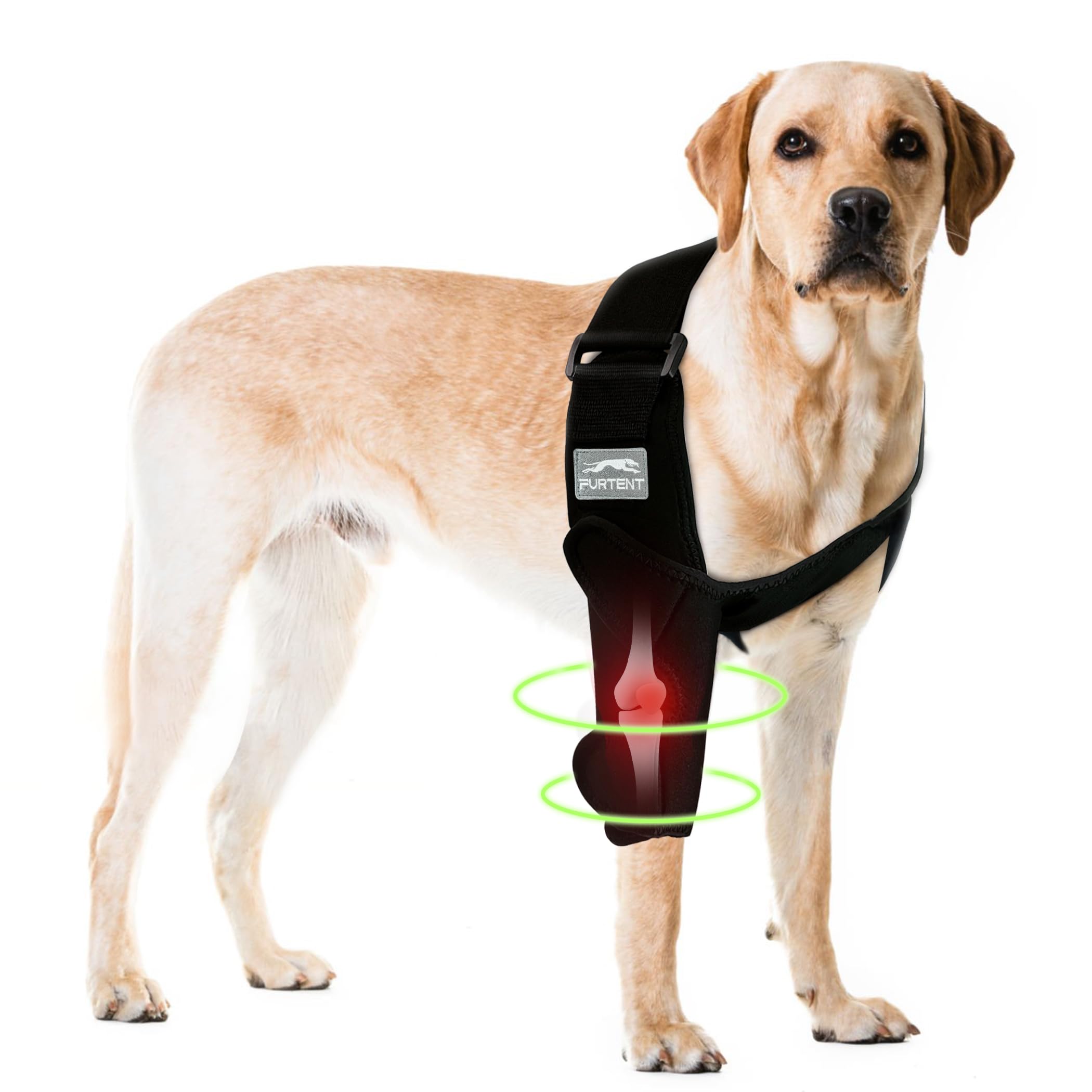 Photo 1 of Dog Elbow Protector, Pet Recovery Suit Taper Collar Alternative for Dogs Elbow Dysplasia, Shoulder Dislocation - Offers Elbow Support, Helps Wound Healing, Prevents Licking and Biting, L