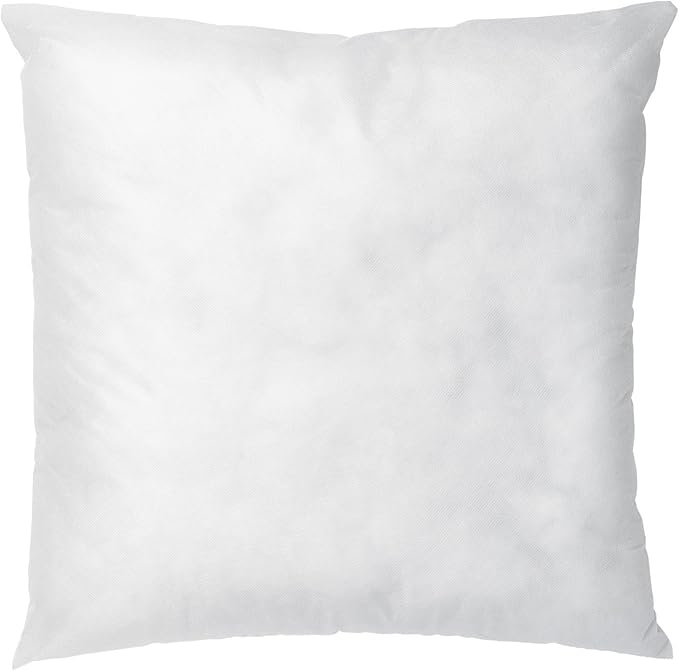 Ikea Inner Insert Cushion Throw Pillow, 20 X 20Inch Home