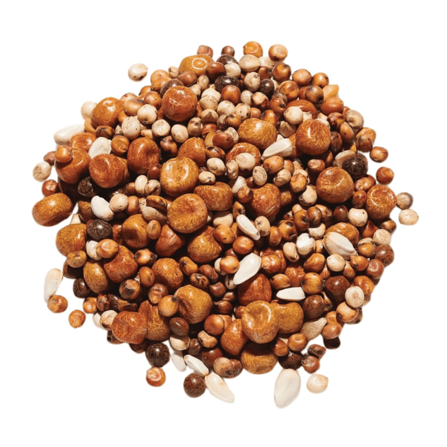 Countrywide Concorde Pigeon Seed Mix 20kg - Premium Mixture For Young Pigeons - Protein & Oil Rich - Easily Digestible - Dust Free Ingredients